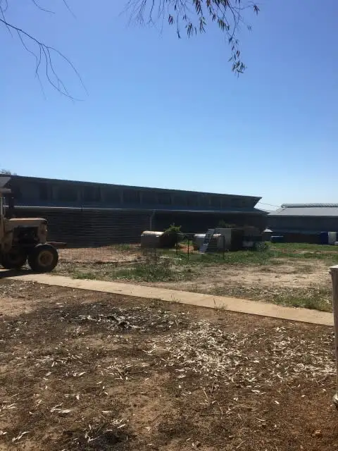 Third view of Homely rural property listing, 356 Kwobrup Road, Gnowangerup WA 6335