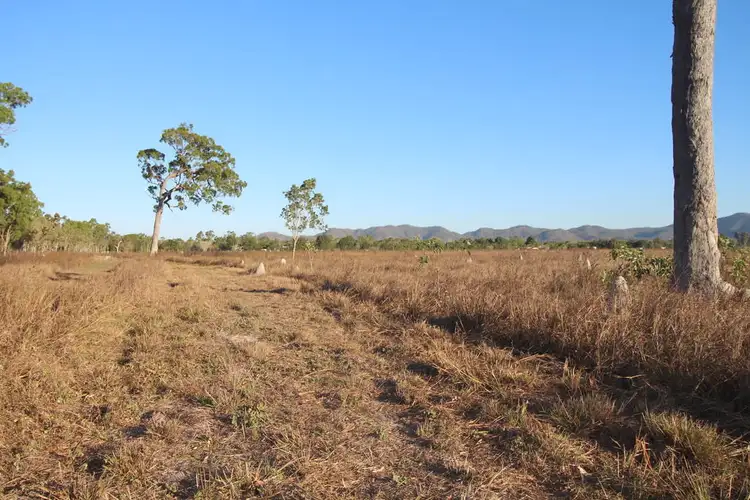 Fourth view of Homely land listing, Lot 888 Forestry Road, Bluewater Park QLD 4818