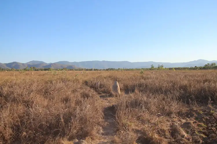 Fifth view of Homely land listing, Lot 888 Forestry Road, Bluewater Park QLD 4818