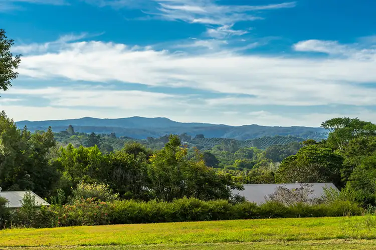 229 Rosebank Road, Rosebank NSW 2480
