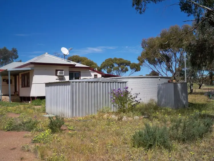 45 Penny Street, Kauring