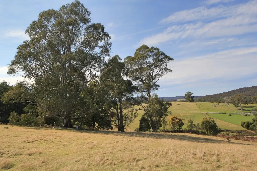 Main view of Homely rural property listing, Lot 1 Tasman Highway, Goshen TAS 7216