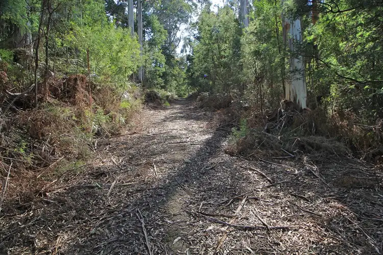 Second view of Homely rural property listing, Lot 1 Tasman Highway, Goshen TAS 7216