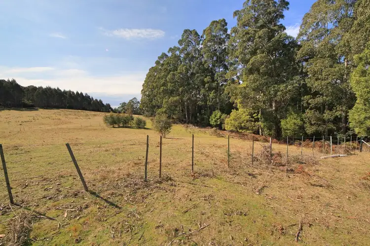 Fifth view of Homely rural property listing, Lot 1 Tasman Highway, Goshen TAS 7216