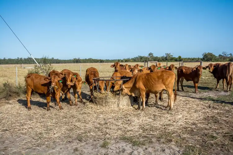 Sixth view of Homely land listing, 2538 Goodwood Road, Goodwood QLD 4660