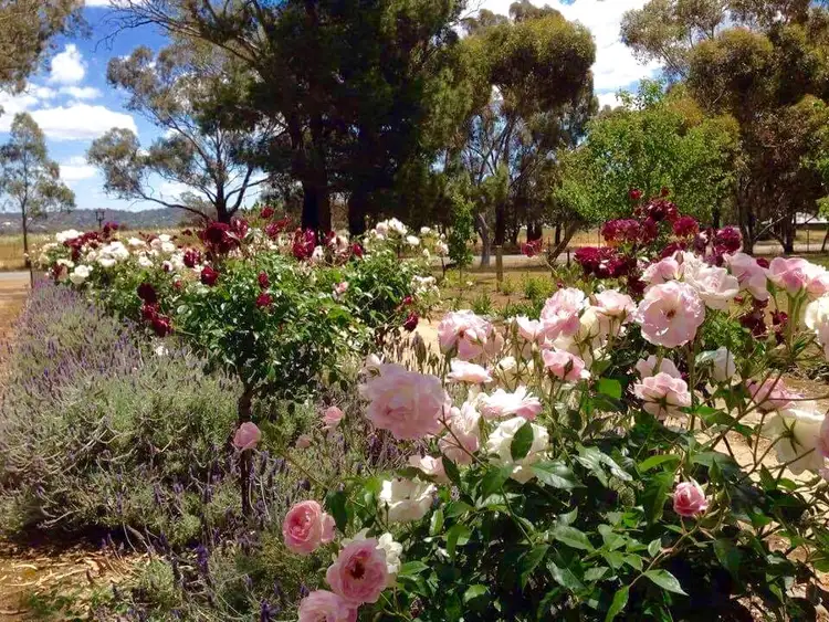 Fifth view of Homely house listing, 79 Mitchell Road, Lake Albert NSW 2650