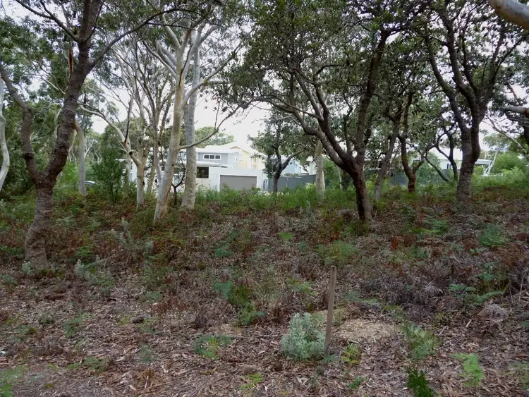 Fifth view of Homely land listing, 24 Hazelwood Rise, Callala Beach NSW 2540