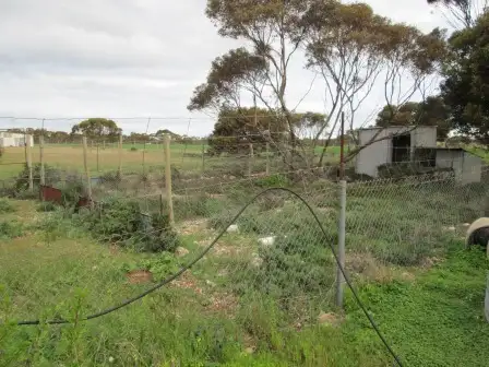 Fifth view of Homely house listing, 432 Limekiln Road, Tailem Bend SA 5260