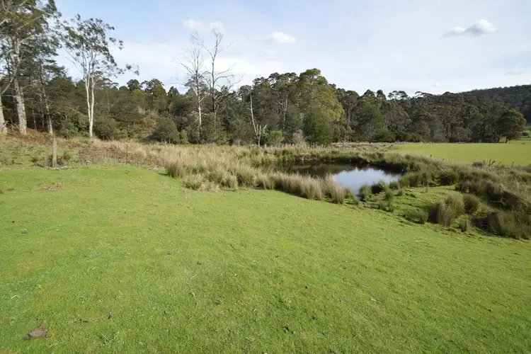 Fifth view of Homely land listing, 473 Priestleys Lane, Birralee TAS 7303