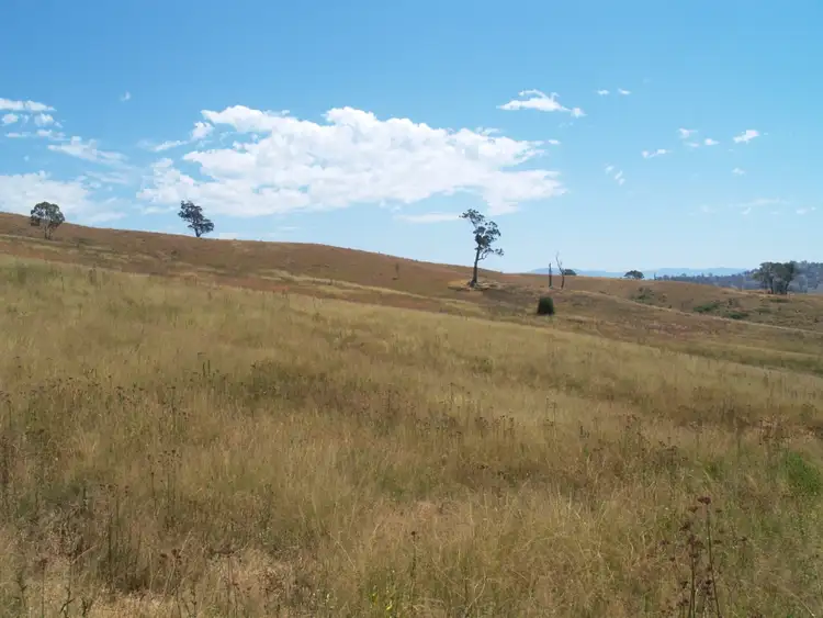 Fifth view of Homely land listing, Lot 1 Kemps Lane, Candelo NSW 2550