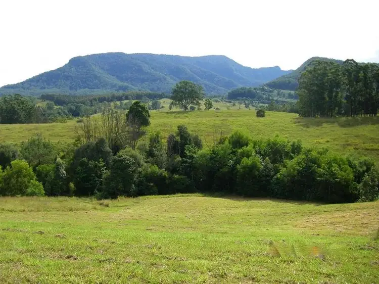 Main view of Homely land listing, Lot 8 Tulsi Lane, Nimbin NSW 2480