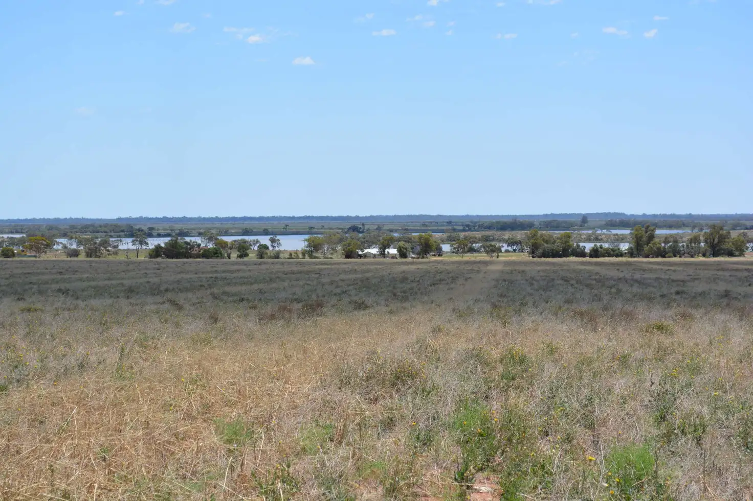 Main view of Homely rural property listing, 60 Werrimull Road North, Werrimull VIC 3496