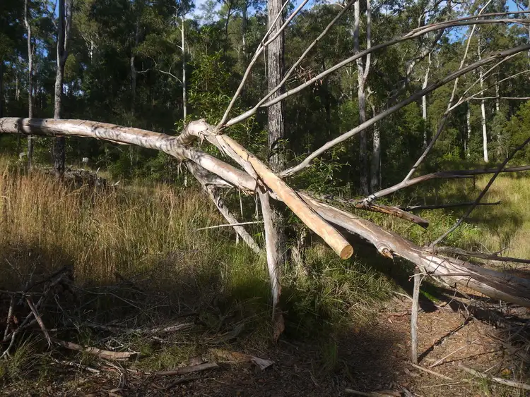 Seventh view of Homely land listing, Lot 10 Nottingham Drive, Glenreagh NSW 2450