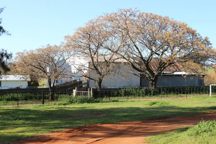 Third view of Homely rural property listing, 1520 Loombah Road, Yeoval NSW 2868