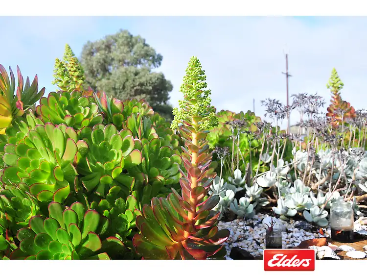 Sixth view of Homely house listing, 2/2 Todd Street, Kingston Se SA 5275