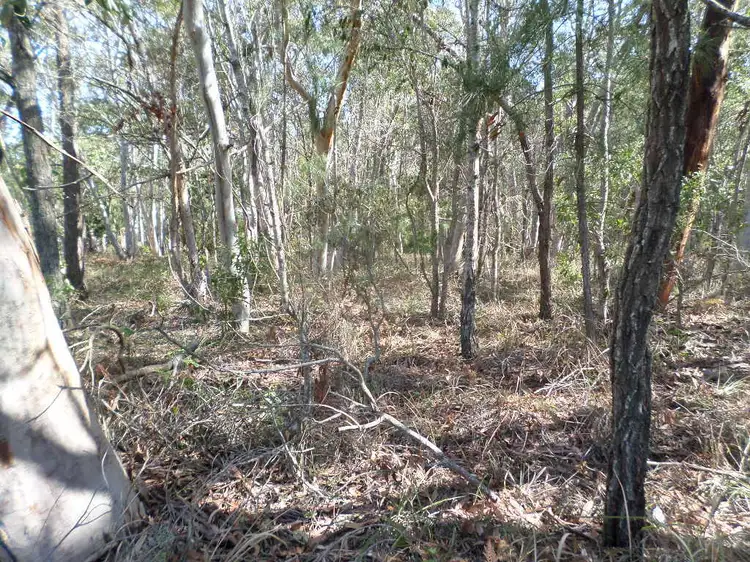 Third view of Homely land listing, 10 PARAKEET STREET, Macleay Island QLD 4184