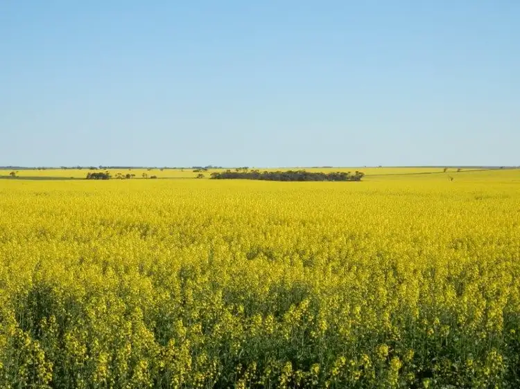 Fourth view of Homely rural property listing, 1 Minlaton Road, Minlaton SA 5575