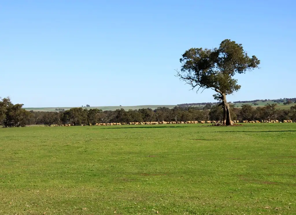 Main view of Homely rural property listing, . ''Yathroo'', Dandaragan WA 6507