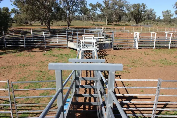 Sixth view of Homely rural property listing, 4550 Dirranbandi - Bollon Rd, Dirranbandi QLD 4486