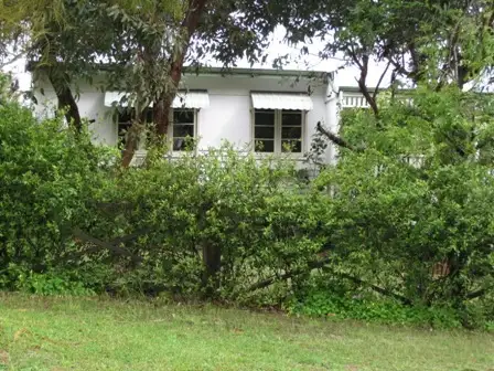 Main view of Homely house listing, 8 Clint Way, Calista WA 6167