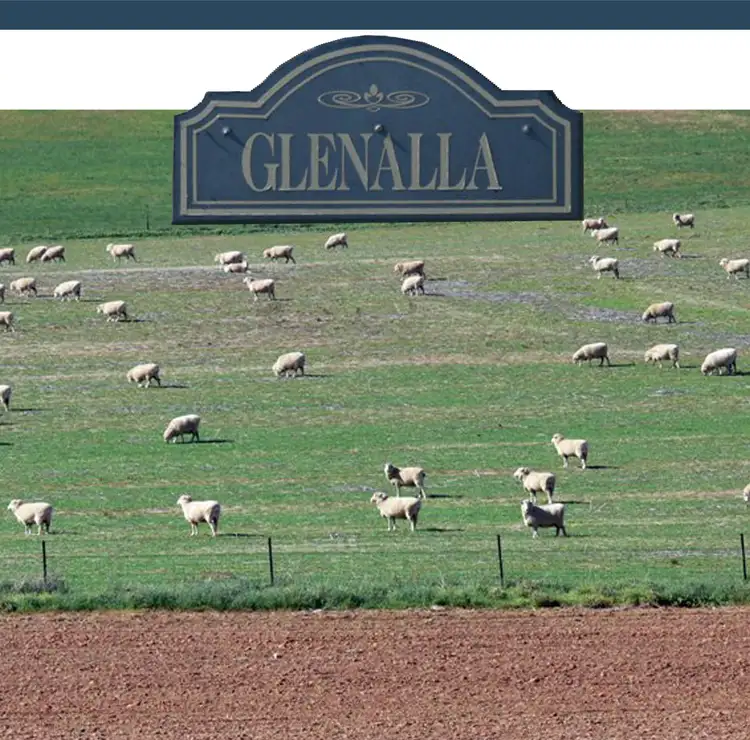 Main view of Homely rural property listing, 506 Binni Creek Road, Cowra NSW 2794