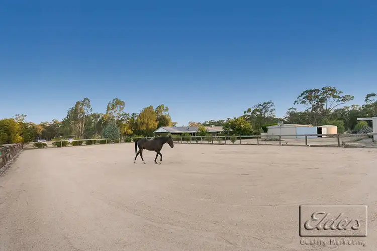 Main view of Homely rural property listing, 57 Lomas Road, Goornong VIC 3557