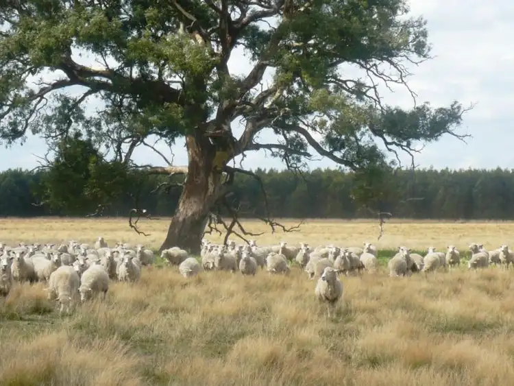 Seventh view of Homely rural property listing, Address available on request