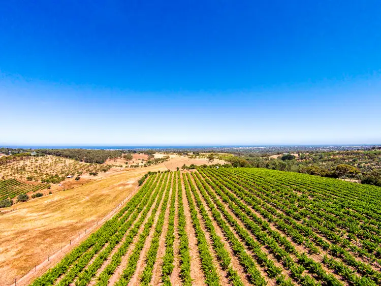 Third view of Homely house listing, 237 Upper Penneys Hill Road, Onkaparinga Hills SA 5163