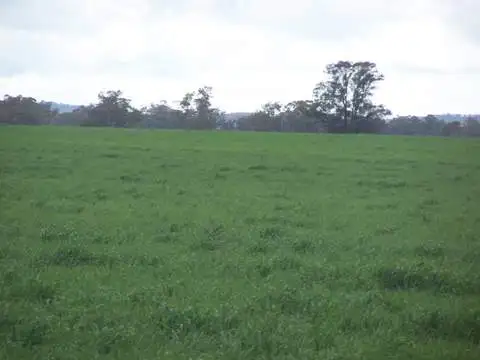 - Eastleigh, Wyalong NSW 2671