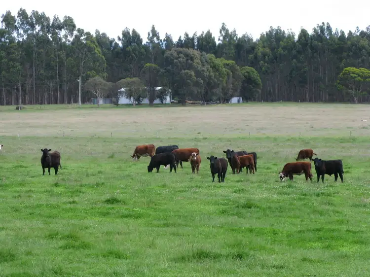 Main view of Homely rural property listing, 494 Spencer Rd, Narrikup WA 6326