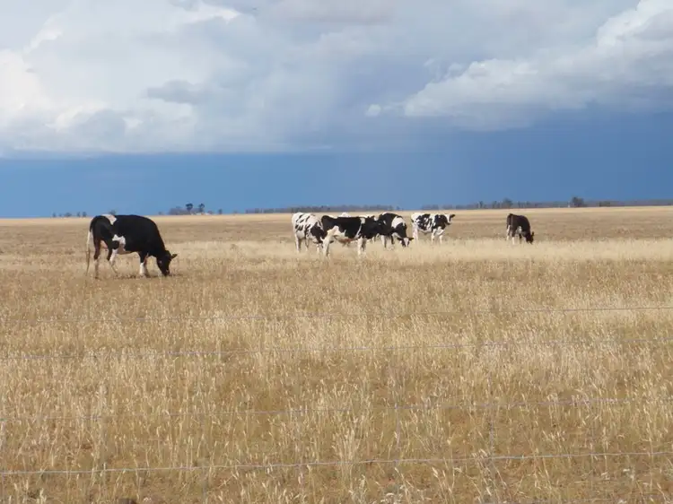 Third view of Homely rural property listing, "Purapooka" Southdown Road, Deniliquin NSW 2710