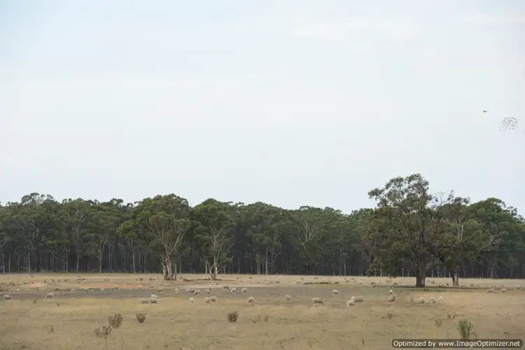 Third view of Homely rural property listing, 690 Andersons Lane, Hillside VIC 3875