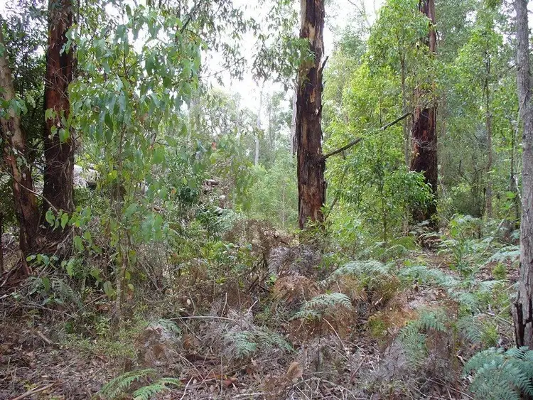 Second view of Homely land listing, Lot 7 Karri Lane, Quinninup WA 6258