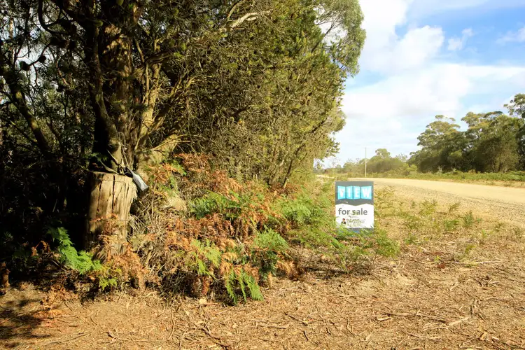 Main view of Homely land listing, 1132 North Ansons Road, Ansons Bay TAS 7264