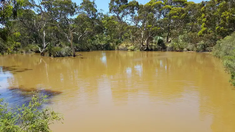 Seventh view of Homely rural property listing, 295 Gould Road, Currency Creek SA 5214