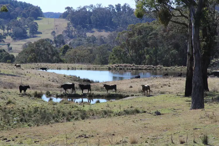 Second view of Homely rural property listing, 1693 Nowendoc Road, Niangala NSW 2354