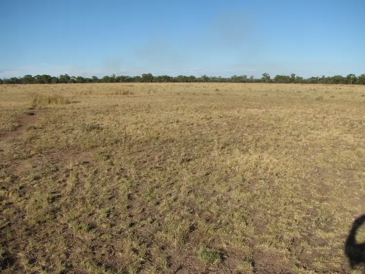 Fifth view of Homely rural property listing, Bushells, Stumpy Lane Rd, Narrabri NSW 2390