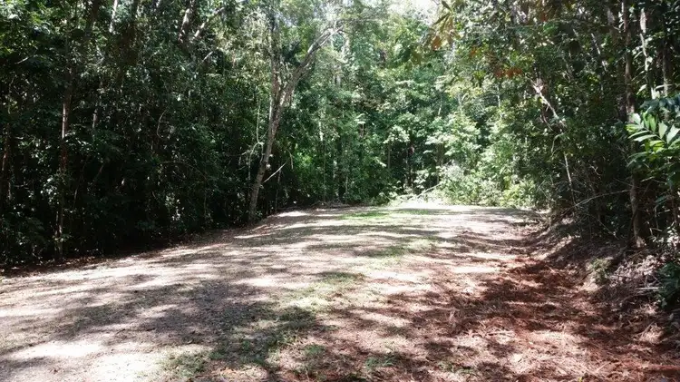 Third view of Homely land listing, 515 Silver Ash Road, Daintree QLD 4873