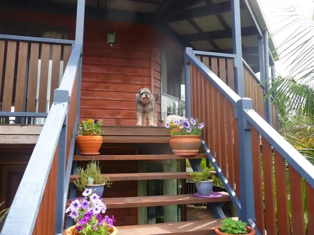 Sixth view of Homely house listing, 4 Nina Court, Cooloola Cove QLD 4580