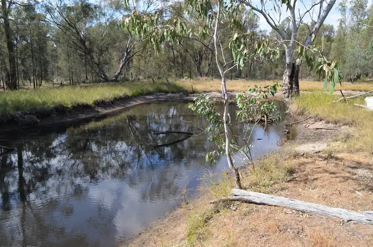 Seventh view of Homely rural property listing, 2123 Pilliga Rd, Wee Waa NSW 2388