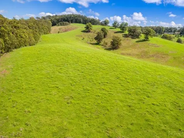 Seventh view of Homely rural property listing, 16135 Pacific Highway, Taree NSW 2430