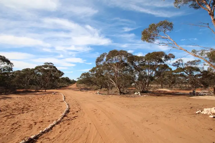 Main view of Homely house listing, Sect. 320 Sturt Highway, Berri SA 5343