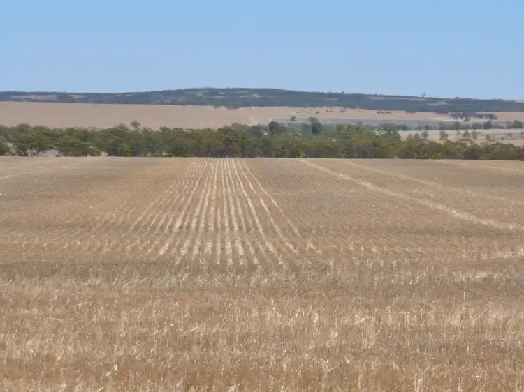 Fourth view of Homely rural property listing, 866 Ejanding West Rd, Dowerin WA 6461