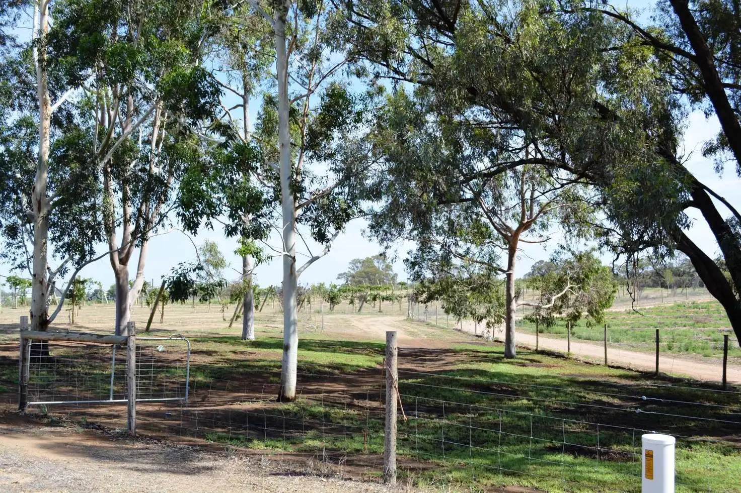 Main view of Homely land listing, 2 Williamsville Road, Curlwaa NSW 2648