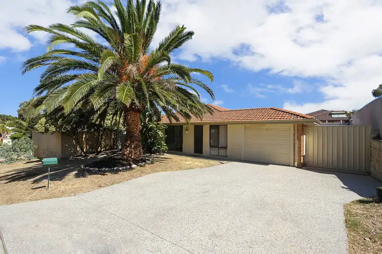 Main view of Homely house listing, 3 Orchid Court, Clarkson WA 6030