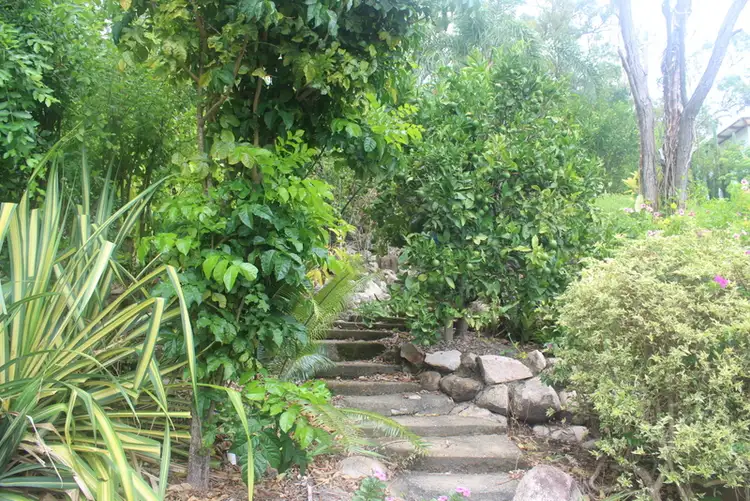 Seventh view of Homely house listing, 5 Coconut Grove, Ball Bay QLD 4741
