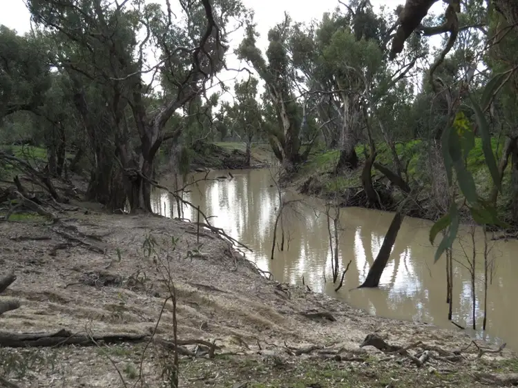 Fourth view of Homely rural property listing, "Nocoleigh" Lower River Road, Deniliquin NSW 2710