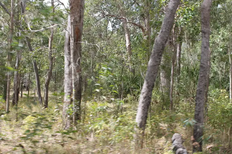 Seventh view of Homely rural property listing, 0 Korenan rd, Colosseum QLD 4677