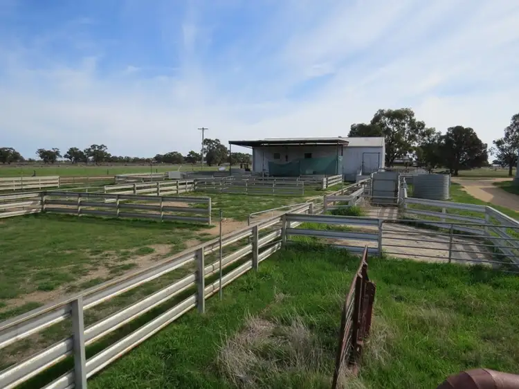 Second view of Homely rural property listing, RMB 185 Hetherington Road, Deniliquin NSW 2710