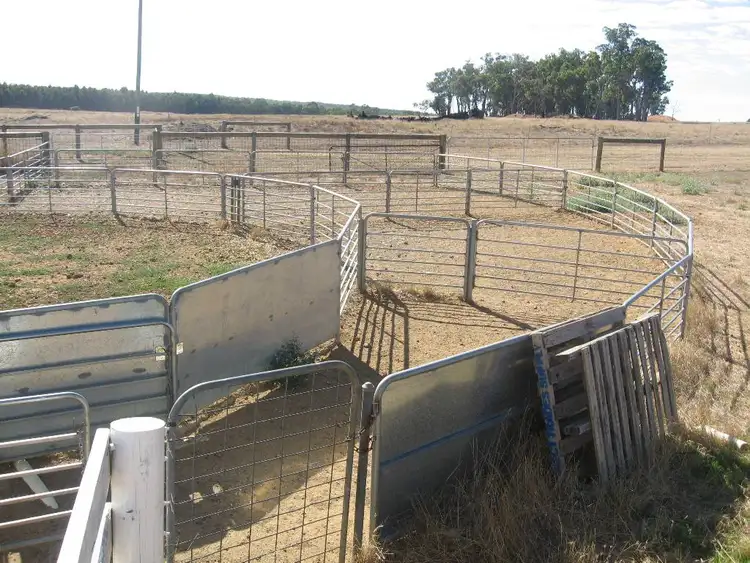 Third view of Homely rural property listing, 354 RANDALL ROAD, Perillup WA 6324